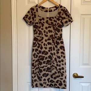 Taupe Brown Sophia Animal Print Work/Office Dress